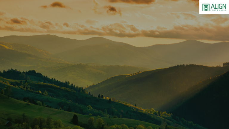 Auto Draft